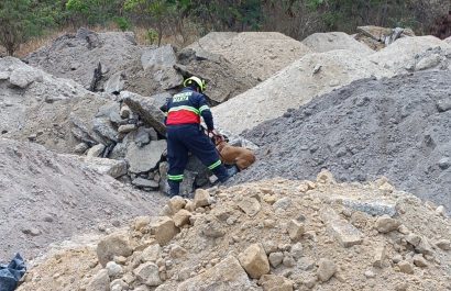 En Manta, la Brigada Canina del Cuerpo de Bomberos demuestra su destreza en simulacros de rescate bajo escombros.