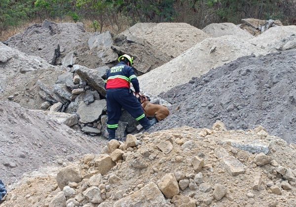 En Manta, la Brigada Canina del Cuerpo de Bomberos demuestra su destreza en simulacros de rescate bajo escombros.