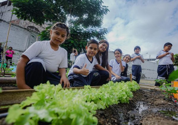 En Manta ya son 202 huertos entregados: 143 comunitarios y 59 escolares; el de la foto corresponde al de la escuela Maruja Cedeño.