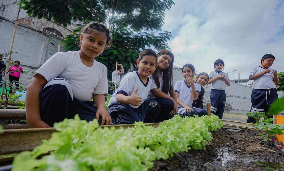 En Manta ya son 202 huertos entregados: 143 comunitarios y 59 escolares; el de la foto corresponde al de la escuela Maruja Cedeño.