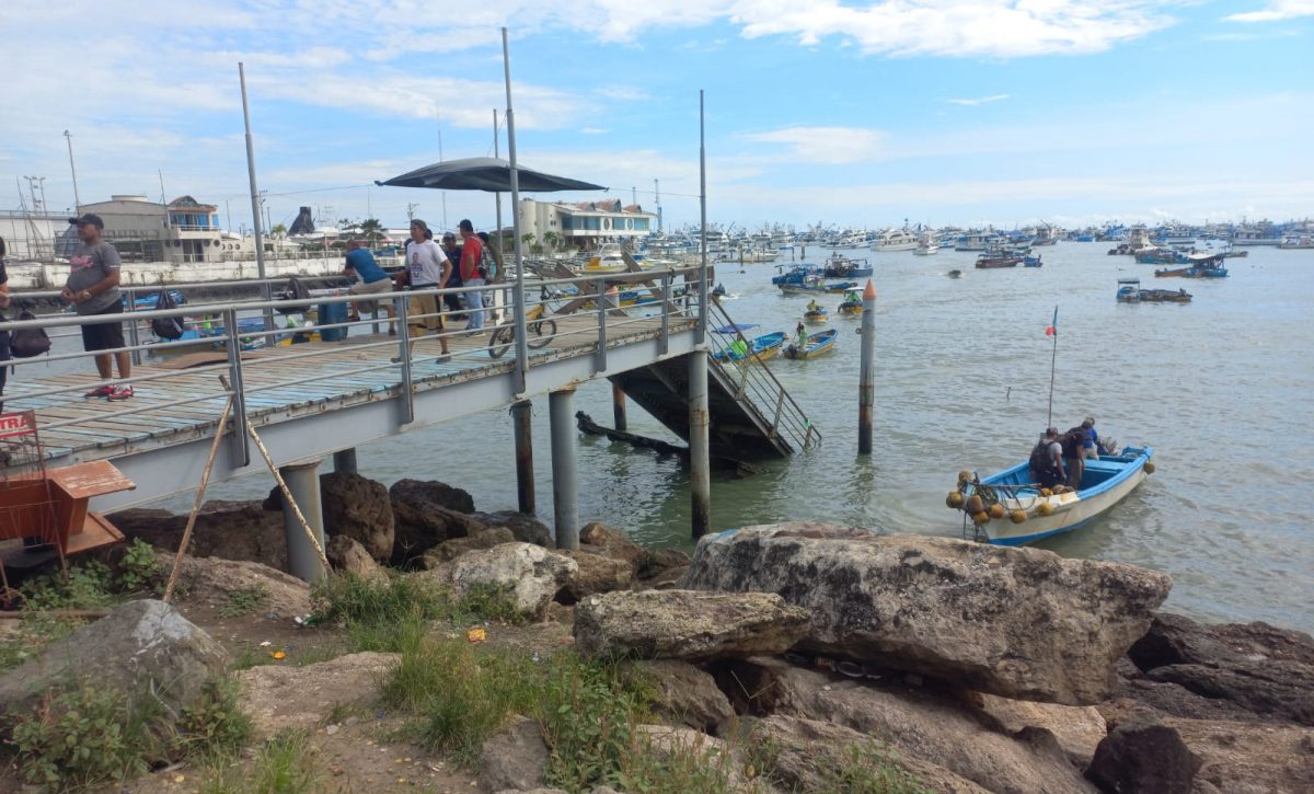 Los comerciantes y pescadores de la zona están alegres por el comienzo de esta obra.