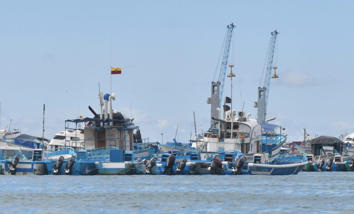 Puerto de Manta que cuenta de dos áreas: muelle artesanal y el internacional.