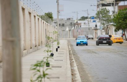 Avenida 108 de Manta se transforma en un corredor verde con 158 nuevos árboles by 30