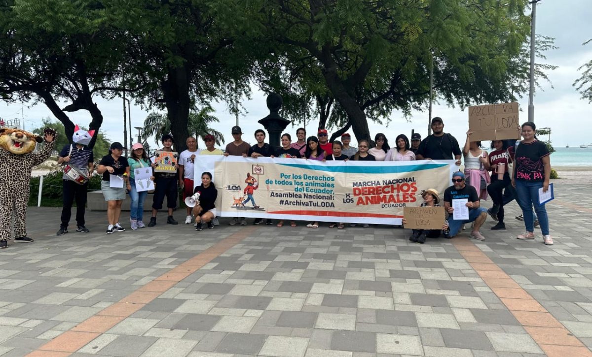 Miembros del colectivo LOA de Manta luchan por la protección y derechos de los animales.