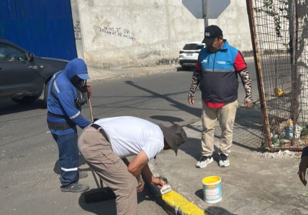 Vecinos de la avenida 108 en Los Esteros mientras pintan los bordillos para mejorar la imagen del sector.