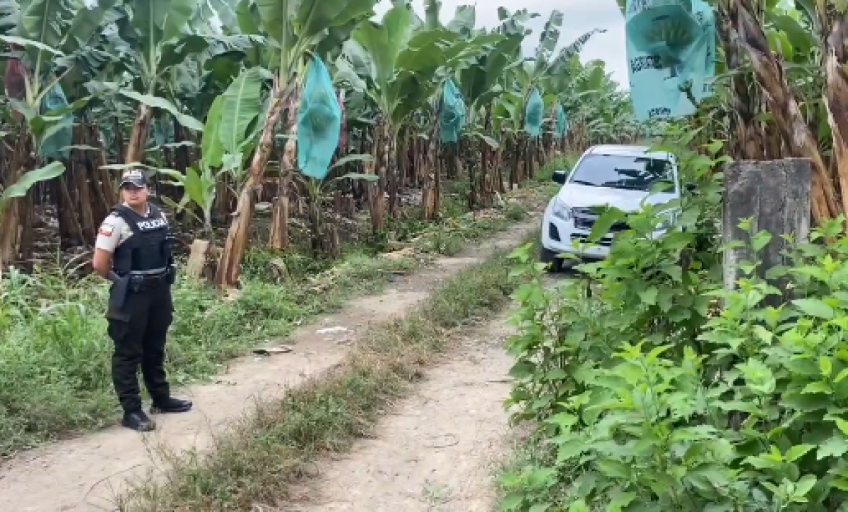 Macabro hallazgo: cadáver de mujer enterrada en bananera de Machala conmociona a la comunidad
