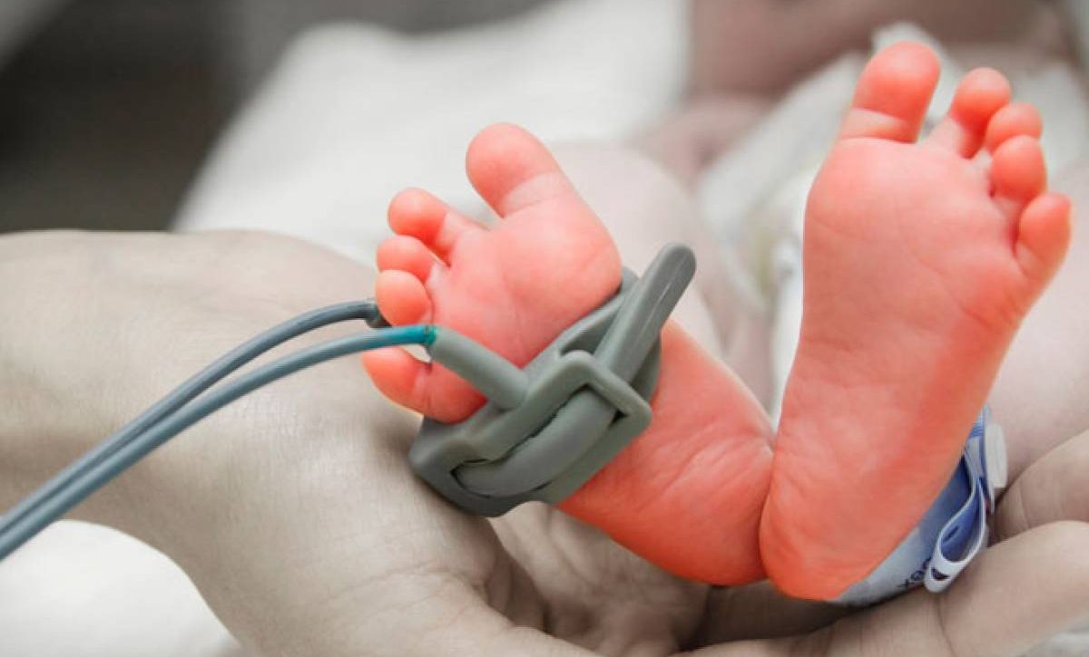 Nuevo hallazgo genético podría explicar casos de miopatía congénita sin diagnóstico