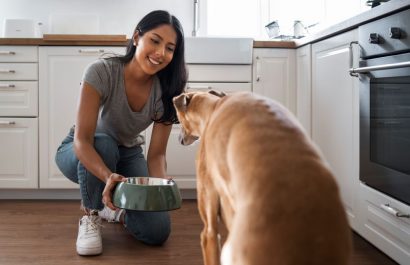 Aspectos clave en la dieta casera de perros y gatos: prevención y cuidados