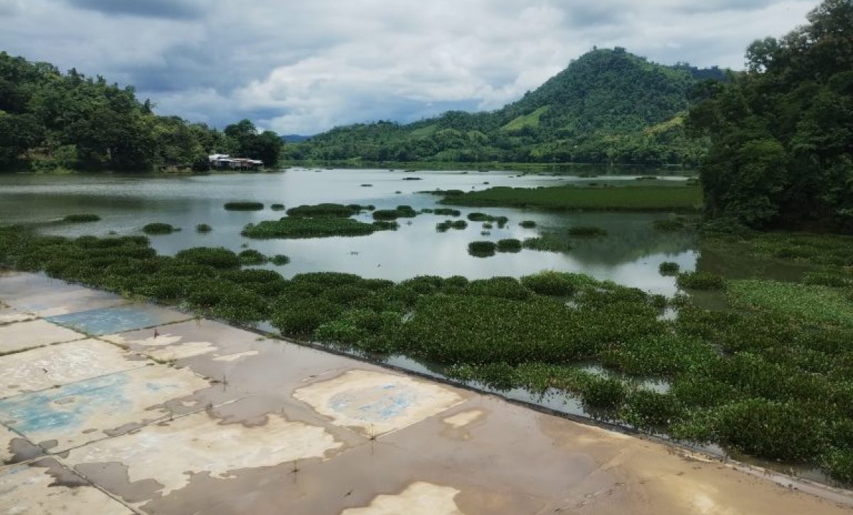 necesitan-que-aumente-el-nivel-de-agua-en-poza-honda-para-evacuar-los-lechuguines
