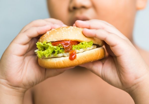 Obesidad infantil: El peligro oculto de los alimentos ultraprocesados