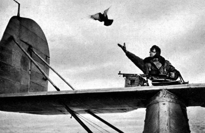 Un piloto de la RAF (Fuerza Aérea Británica) suelta una paloma mensajera en agosto de 1941, en plena Segunda Guerra Mundial.