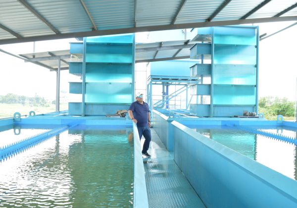 planta de agua de Charapotó