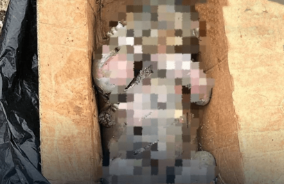 Encuentran cuerpo sin vida de recién nacido en basurero de Babahoyo