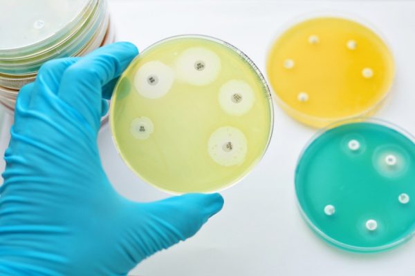Bacterias que no mueren: El peligro oculto de la resistencia a los antibióticos por su mal uso.