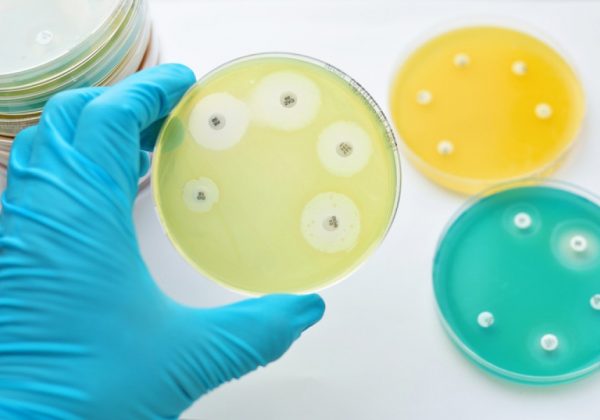 Bacterias que no mueren: El peligro oculto de la resistencia a los antibióticos por su mal uso.