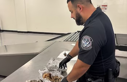 Cráneo humano en papel de aluminio: lo que hallaron en una maleta en el aeropuerto de Tampa