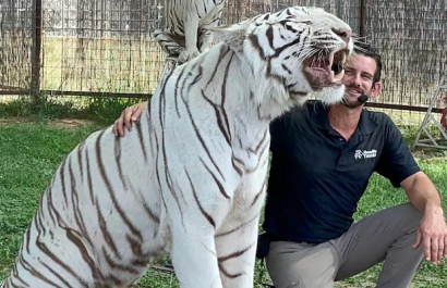Muere adiestrador tras ataque brutal de tigre ante su esposa e hija en EE. UU.