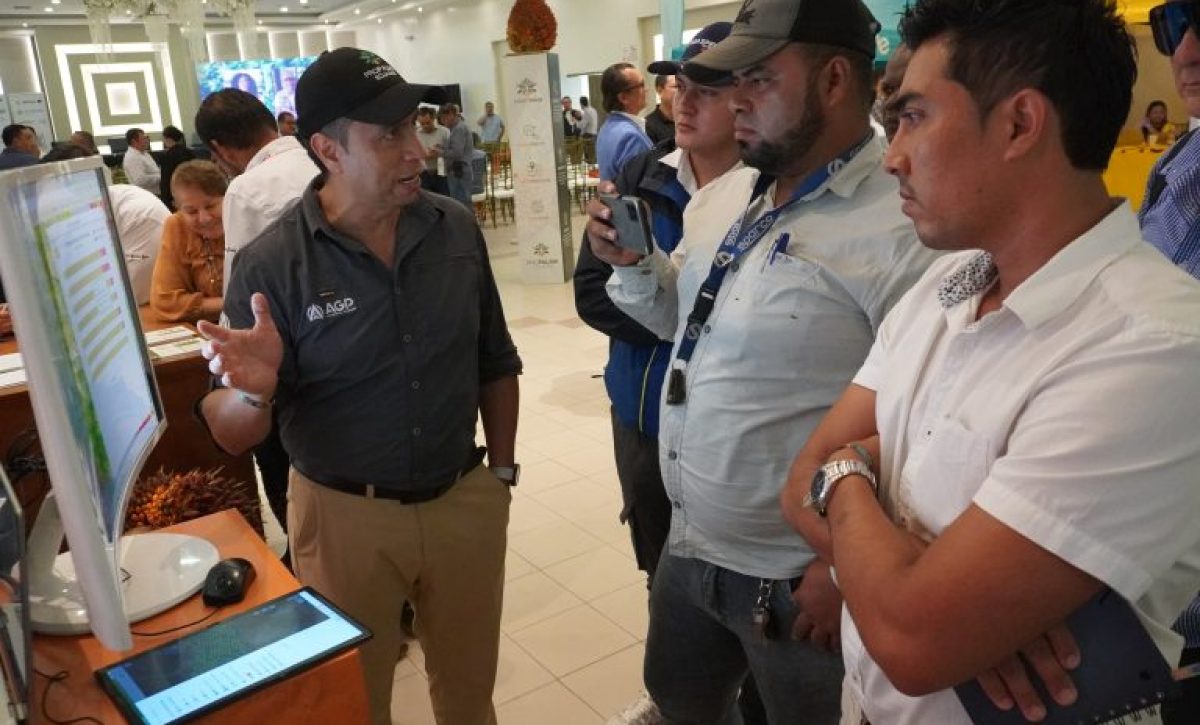 Sector palmero impulsa sostenibilidad y competitividad