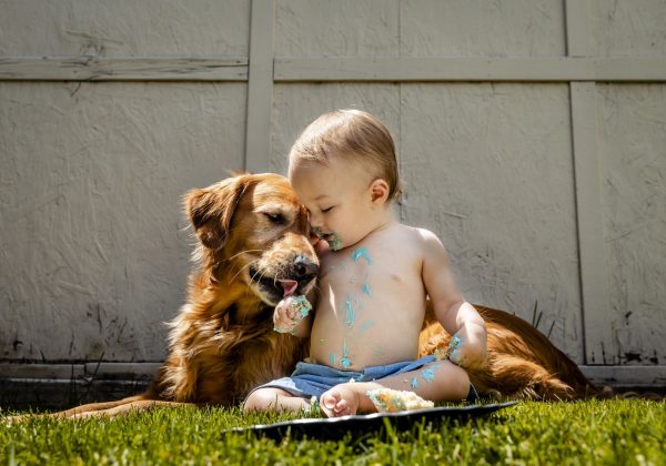 Exposición temprana a perros reduce riesgo de asma en bebés, revela estudio canadiense