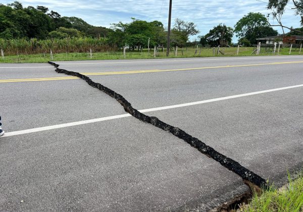 "El suelo se movía": sismo de 6,5 sacude Bogotá y activa alerta en varias ciudades de Colombia