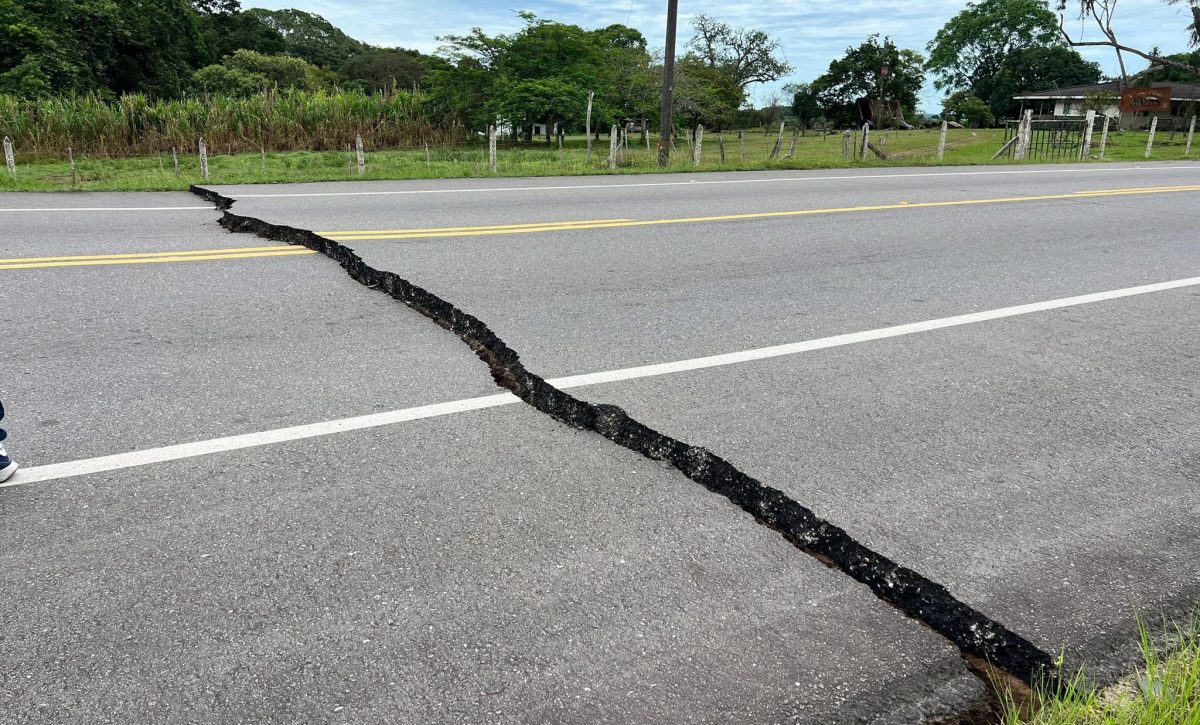 "El suelo se movía": sismo de 6,5 sacude Bogotá y activa alerta en varias ciudades de Colombia