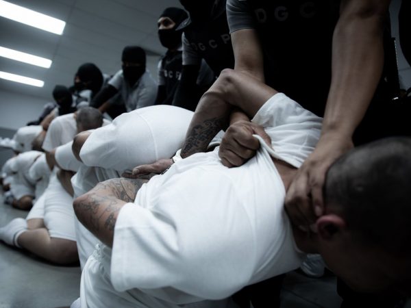 Miembros del Tren de Aragua detenidos.