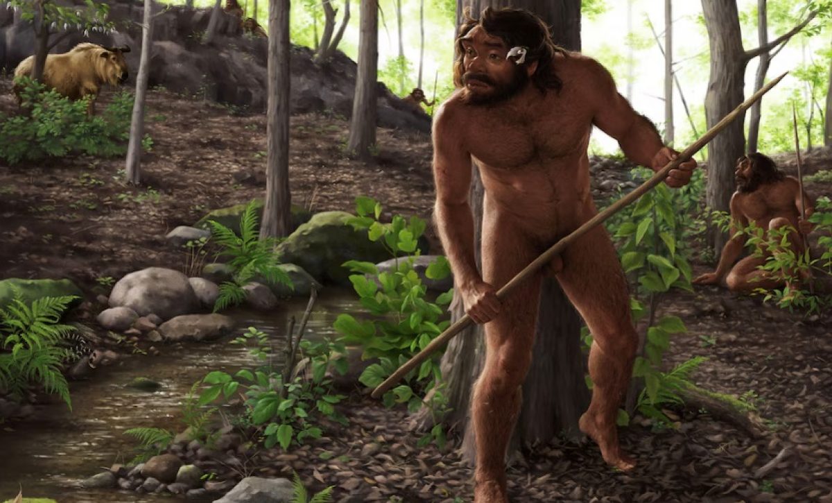 Cráneo de un millón de años redefine el origen de Homo Sapiens y Denisovanos.