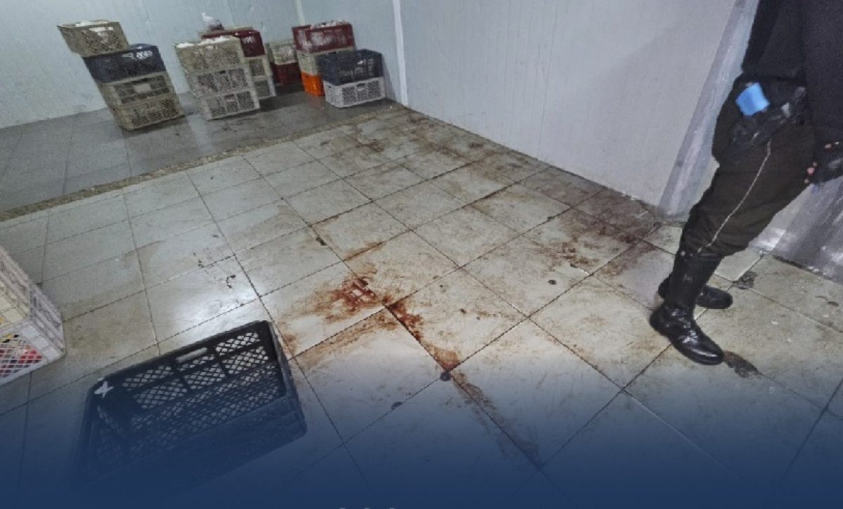 ¡Alerta Sanitaria! Clausuran catering en Guayaquil por condiciones repugnantes