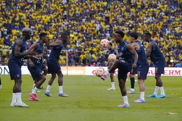 Ecuador se medirá a Estados Unidos, México, Canadá en amistosos antes del Mundial.