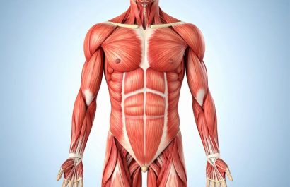 ¿Cuáles son los secretos más sorprendentes del cuerpo humano?