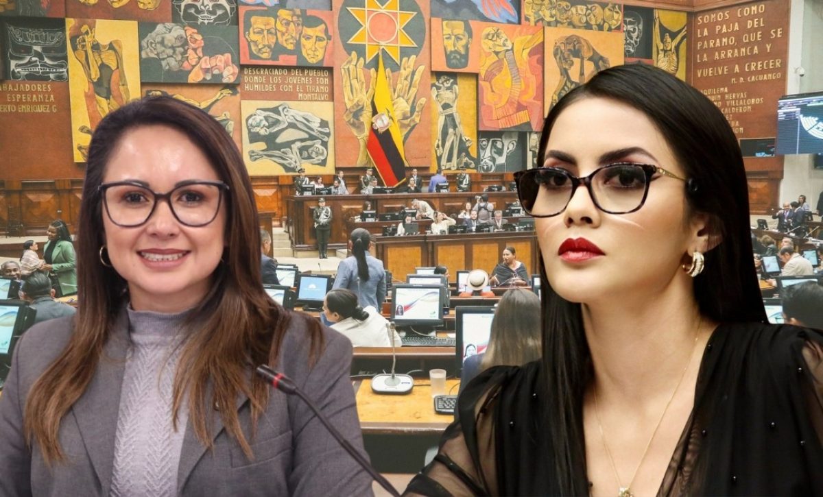 ¿Qué pasó entre Viviana Veloz y Nataly Morillo en el pleno de la Asamblea Nacional (AN).