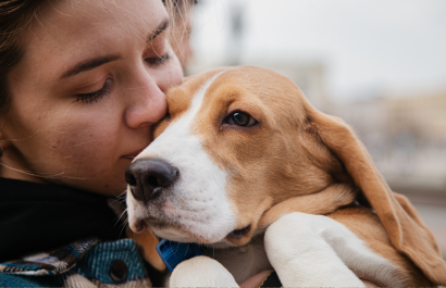 ¿Quieres una mascota Descubre las razas de perro que no son para principiantes