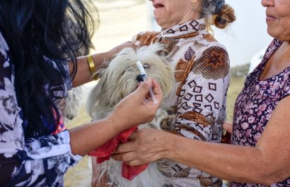¿Tu mascota está protegida Campaña gratuita llega a El Florón de Portoviejo