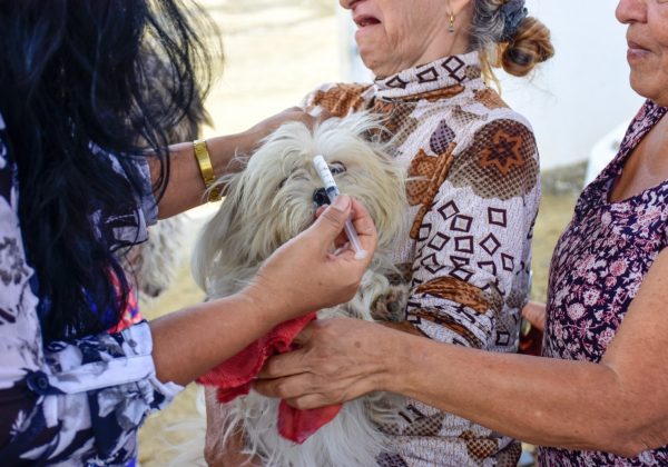 ¿Tu mascota está protegida Campaña gratuita llega a El Florón de Portoviejo